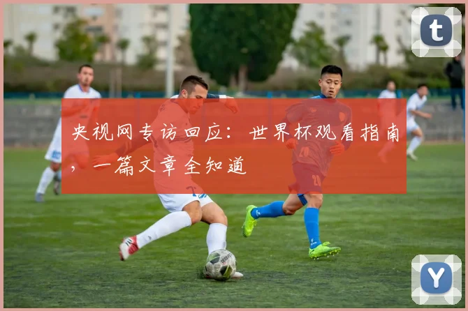 央视网专访回应：世界杯观看指南，一篇文章全知道