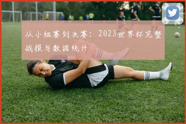 从小组赛到决赛：2023世界杯完整战报与数据统计