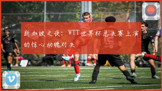 新加坡之夜：WTT世界杯总决赛上演的惊心动魄对决