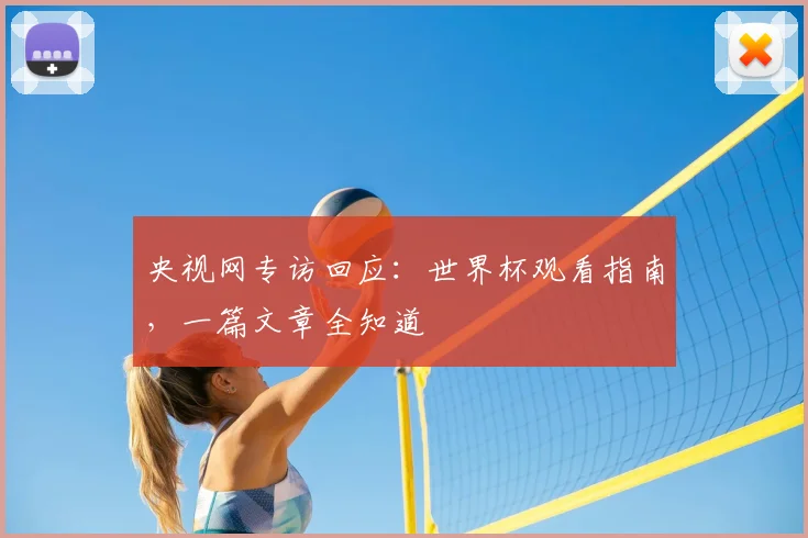央视网专访回应：世界杯观看指南，一篇文章全知道