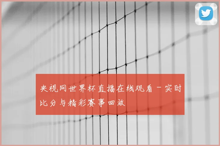 央视网世界杯直播在线观看 - 实时比分与精彩赛事回放