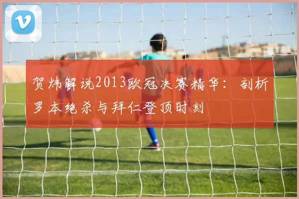贺炜解说2013欧冠决赛精华：剖析罗本绝杀与拜仁登顶时刻
