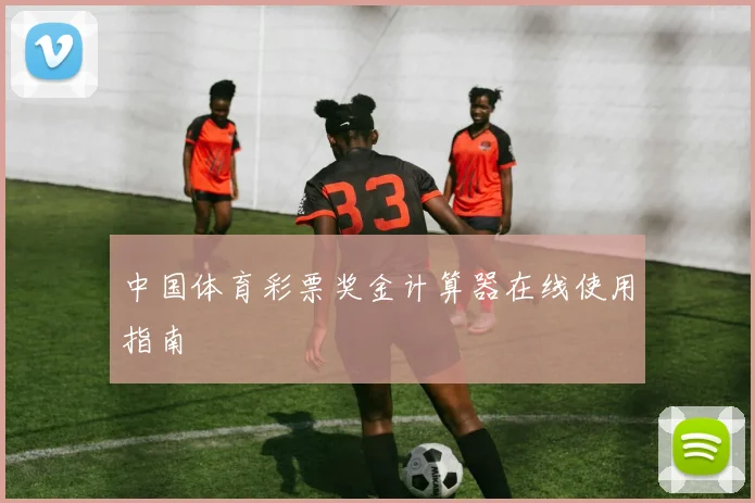 中国体育彩票奖金计算器在线使用指南