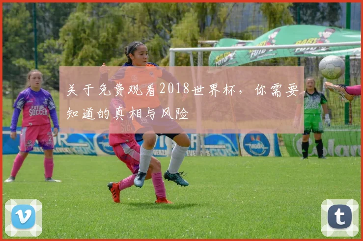 关于免费观看2018世界杯，你需要知道的真相与风险